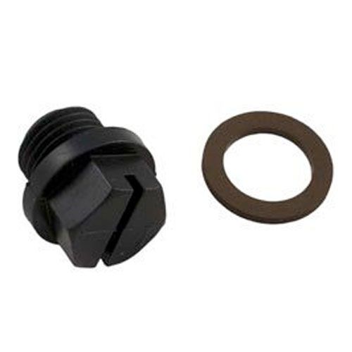 Hayward Pump 1/4 Inch Drain Plug & Gasket SPX1700FG